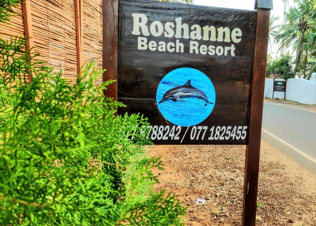 Roshanne Beach Resort Kalpitiya Εξωτερικό φωτογραφία