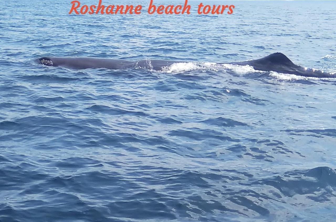 Roshanne Beach Resort Kalpitiya Εξωτερικό φωτογραφία